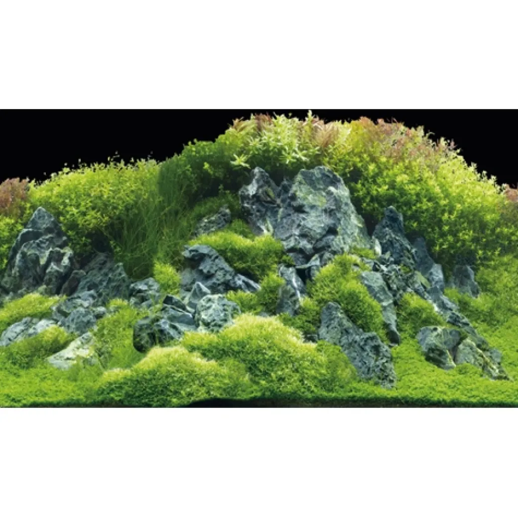 Akvariebaggrund Beplantet flod / Grønne klipper (50 cm høj) 100 cm