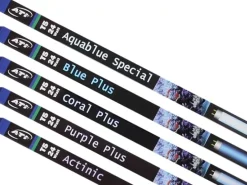 ATI T5 24 Watt Blue Plus 55 cm