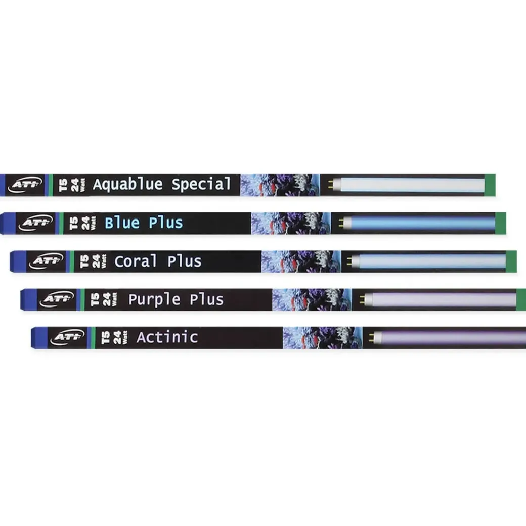 ATI T5 24 Watt Blue Plus 55 cm