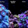 ATI T5 24 Watt Coral Plus 115 cm