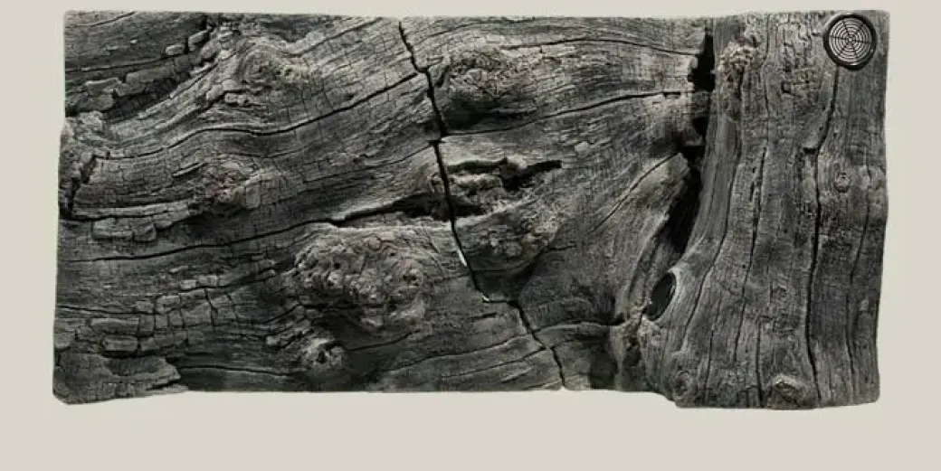Back to Nature Orinoco Juwel 100x47 cm