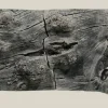 Back to Nature Orinoco Juwel 100x42 cm