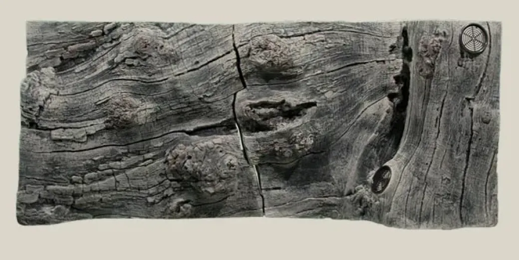 Back to Nature Orinoco Juwel 100x42 cm
