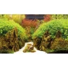 Baggrund til akvarium Canyon og Woodland (50 cm høj) 100 cm