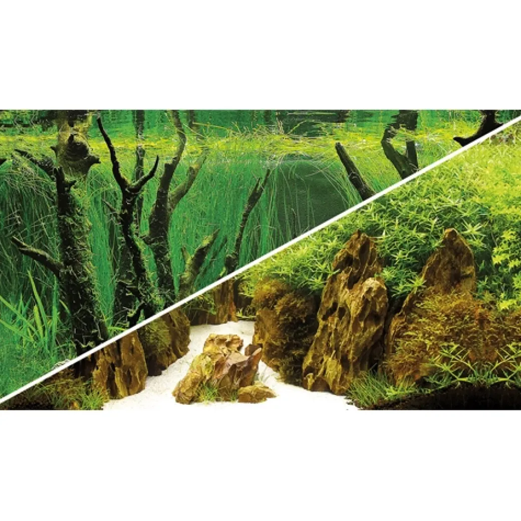 Baggrund til akvarium Canyon og Woodland (50 cm høj) 120 cm