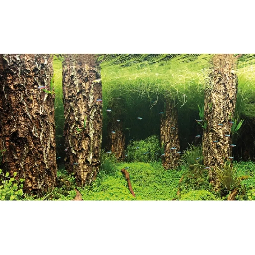 Baggrund til akvarium Scapers Hill og forest (30 cm høj) 60 cm