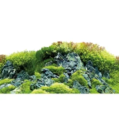 Baggrund til akvarium Scapers Hill og forest (30 cm høj) 60 cm