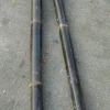 Bambus sort 50 cm