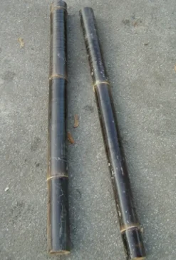 Bambus sort 50 cm
