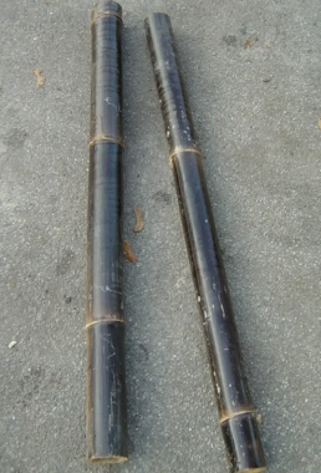 Bambus sort 50 cm