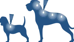 Bayvantic Vet hund 4-10 kg
