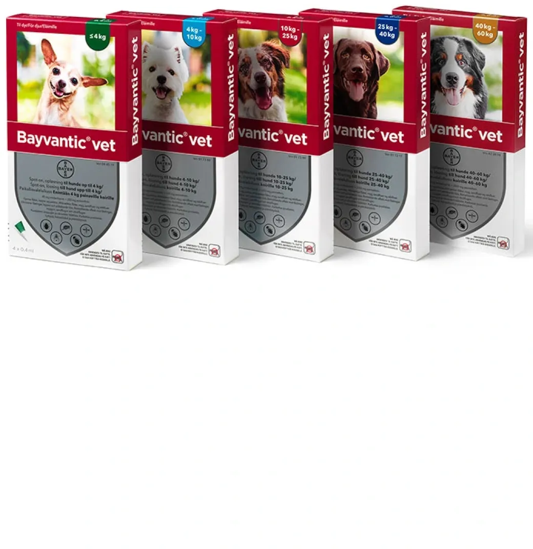 Bayvantic Vet hund 25-40 kg 4 x 4,0 ml