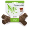 Benebone Maplestick S - tyggeben med træsmag