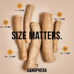 Canophera Kaffetræ XS - naturligt tyggelegetøj til små hunde