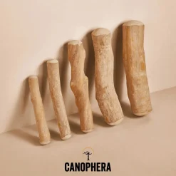 Canophera Kaffetræ XS - naturligt tyggelegetøj til små hunde