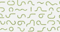 Catit Senses 2.0 Wave circuit