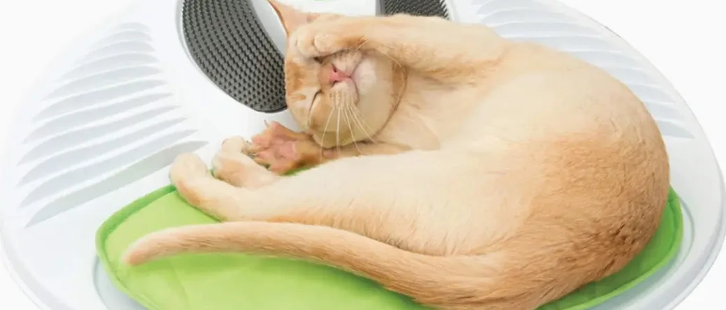 Catit Senses Wellness Center