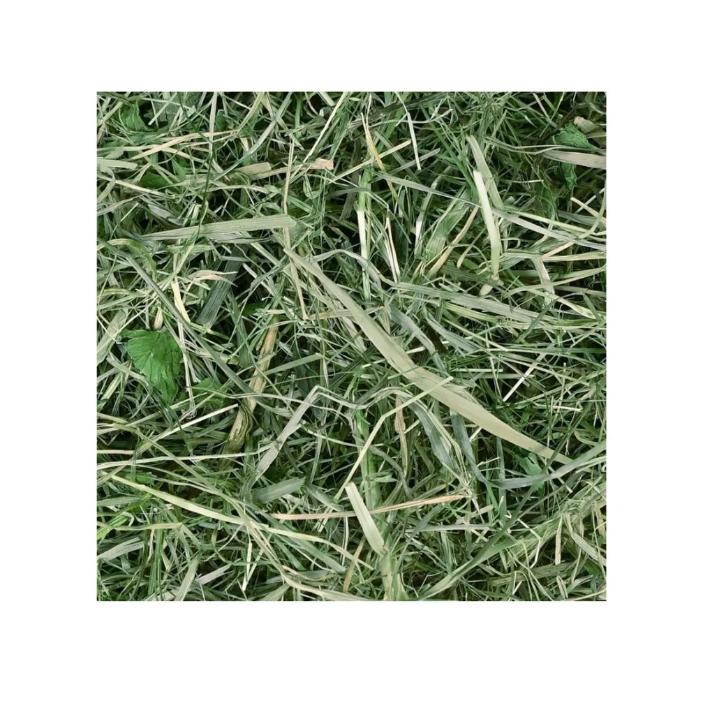 Chipsi Sunshine Timothy Hø 800 g