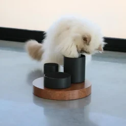 D&D CAT IGGY Slow Feeder 27x27x19 cm Sort