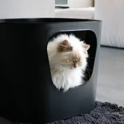 D&D CAT Kattetoilet DEAN - Stilrent - rummeligt og miljøvenligt