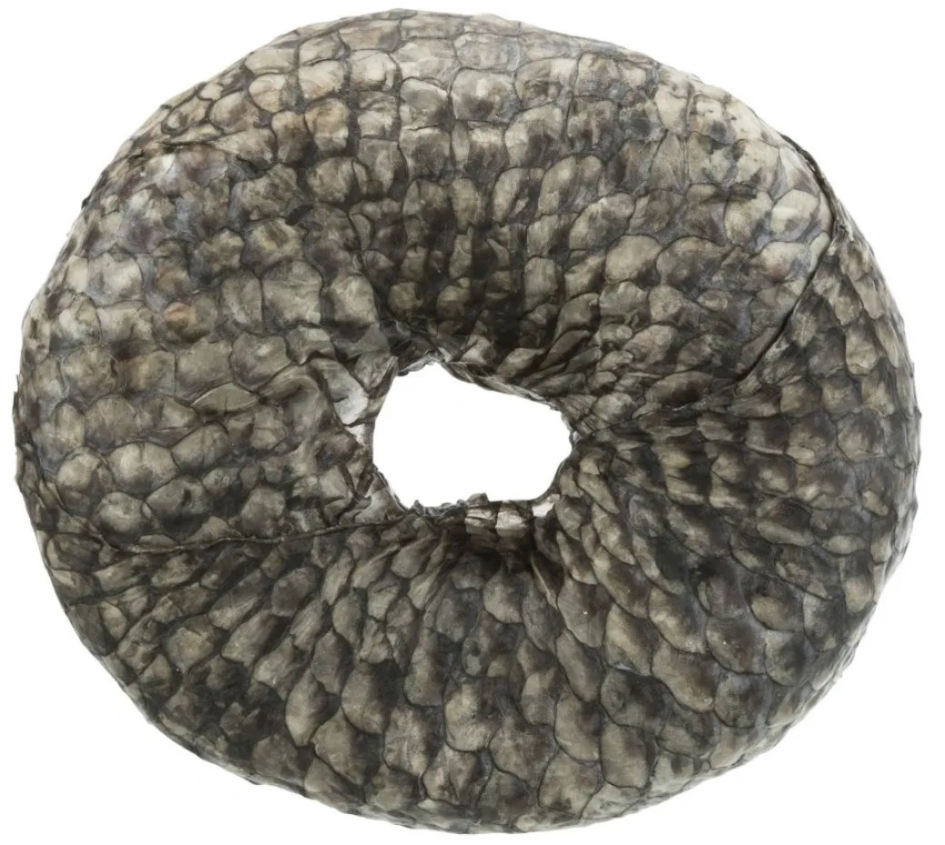 Denta Fun Tyggering med Fisk Ø 10 cm - sund hundesnack