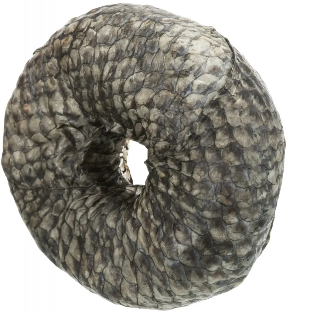 Denta Fun Tyggering med Fisk Ø 10 cm - sund hundesnack
