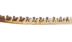 Denta Fun Veggie Tyggeben 12 cm (vegetabilsk) - sundt og vegansk tyggeben til hunde