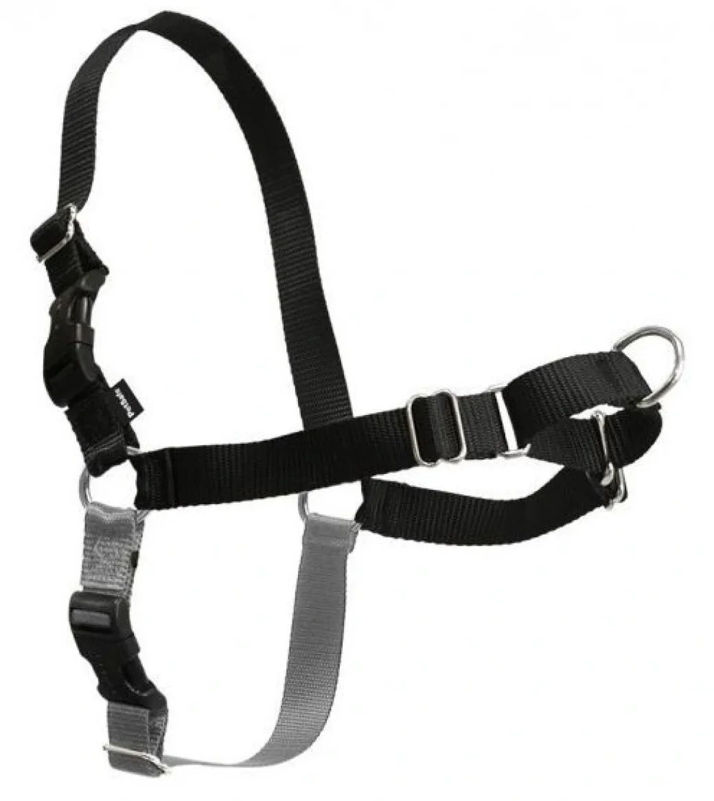 Easy Walk Hundesele Sort XL - Bryst 44-59,5 cm