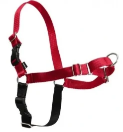 Easy Walk Hundesele S Rød - Bryst 21,5-28 cm