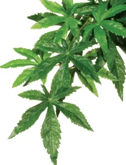 Exo Terra Abutilon lille