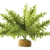 Exo Terra Boston Fern (lille)