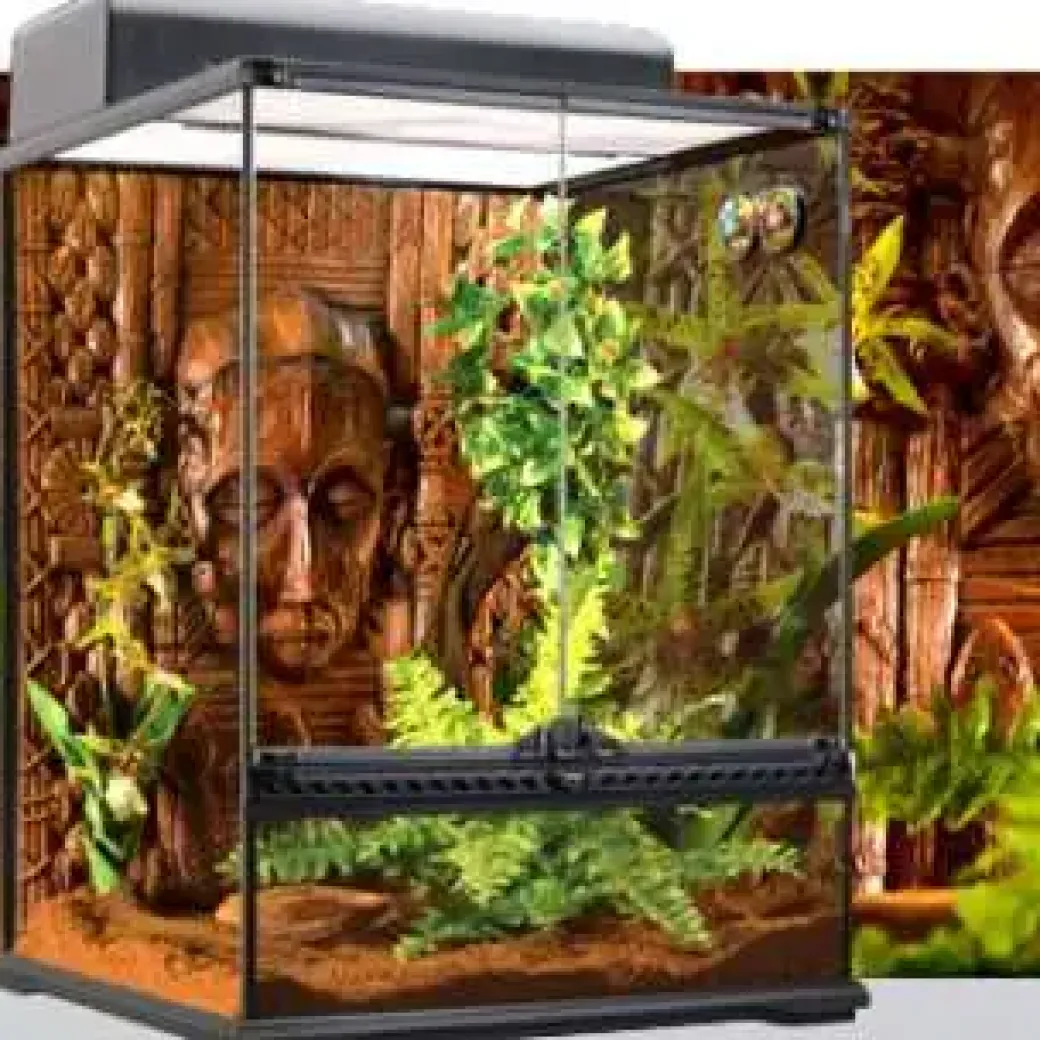 Exo Terra Boston Fern (medium)