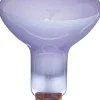 Exo Terra Day Glo Spot 150 w med UVA