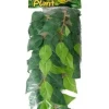 Exo Terra Ficus (lille)