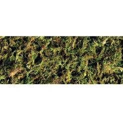 Exo Terra Forest Moss 2 x 7 liter