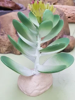 Exo Terra Jade kaktus