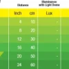 Exo Terra Night Glo 25 watt.
