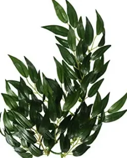 Exo Terra Ruscus lille