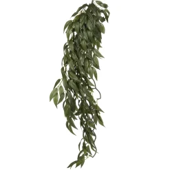 Exo Terra Ruscus stor