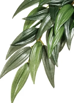 Exo Terra Ruscus stor