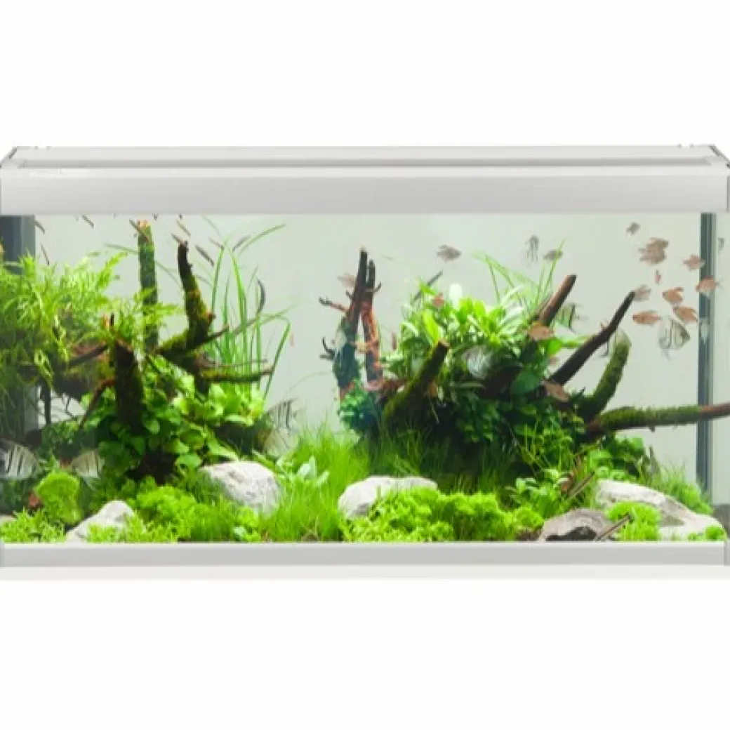 Family Akvarium 80x35x42 cm 112 Liter