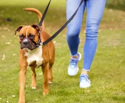 Halti OptiFit snudesele til hund stor