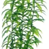 Hobby Heteranthera 34 cm
