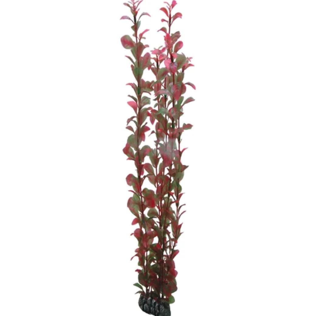Hobby Ludwiga 60 cm