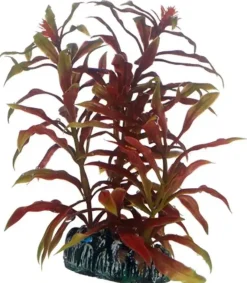 Hobby Nesaea 13 cm