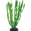 Hobby Vallisneria 20 cm
