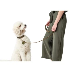 Hunter Aalborg Førerline til Hund Oliven 20/100