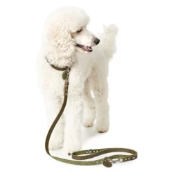 Hunter Aalborg Hundesnor Oliven 20/200