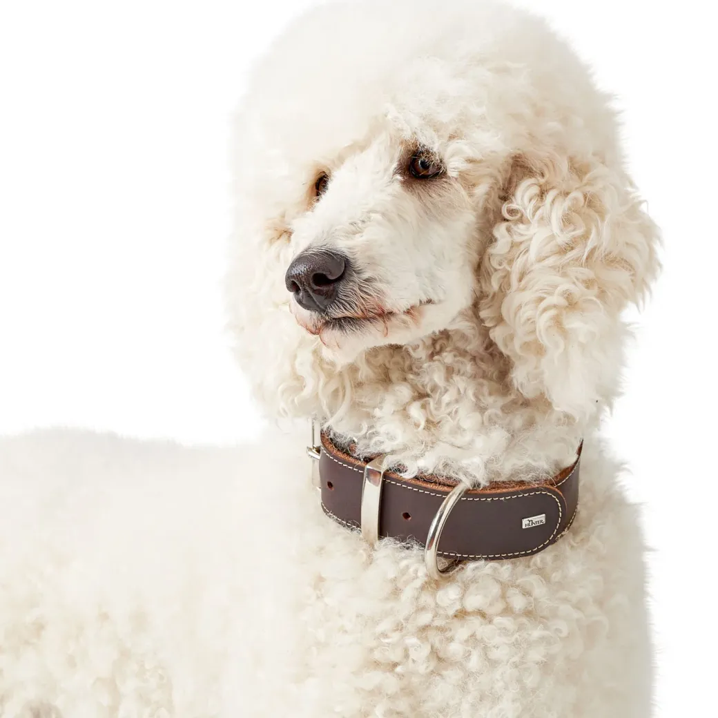 Hunter Aalborg Special Hundehalsbånd Brun 35 - 24-30 cm