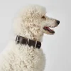 Hunter Aalborg 65 Special Mørkebrunt hundehalsbånd - 45-47 cm
